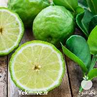 فروش اسانس های خوراکی دارویی بصورت مایع در تهران در گروه ادویه - ترشی کاری ادویه جات خشک در یکمیوه