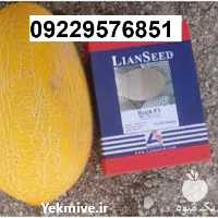 بذر خربزه راک پرفروش و اصل در تهران در گروه خرید فروش عمده خربزه - مشهدی درختی ایوانکی شاهپسند در یکمیوه