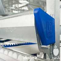 خرید قفس دست دوم مرغداری در تهران در گروه تجهیزات دام و طیور - خرید فروش نو دسته دوم در یکمیوه