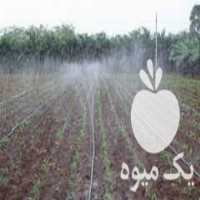 فروش لوله بارانی آبیاری پیفلکس در تهران در گروه خرید فروش اتصالات و تجهیزات آبیاری - شیر لوله نوار در یکمیوه