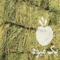 فروش یونجه در تبریز در گروه خوراک دام و طیور - پرواری شیری علوفه یونجه در یکمیوه