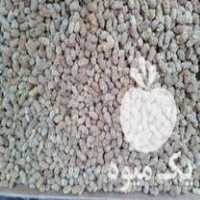 فروش توت خشک در کامیاران در گروه خرید فروش عمده توت - خرید شاتوت سفید طلایی موزی قرمز در یکمیوه