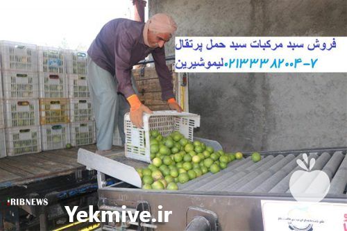 فروش قیمت سبد پلاستیکی بیست کیلویی در تهران در گروه خرید فروش انواع سبد - میوه پلاستیکی چوبی گل در یکمیوه -عکس1