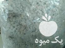 فروش بذر قارچ  گندم استریل در تهران در گروه خرید فروش بذر - انواع محصول کشاورزی گوجه کتان میوه درخت در یکمیوه -عکس1