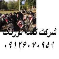 فروش جوجه بوقلمون برنز در تهران در گروه انواع تخم ها - مرغ بوقلمون پرنده عمده کشاورزی در یکمیوه