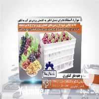 تولید و فروش سبد 20 کیلویی درجه یک در تهران در گروه خرید فروش انواع سبد - میوه پلاستیکی چوبی گل در یکمیوه