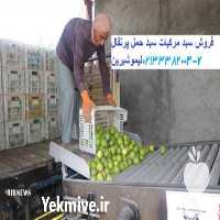 فروش قیمت سبد پلاستیکی بیست کیلویی در تهران در گروه خرید فروش انواع سبد - میوه پلاستیکی چوبی گل در یکمیوه