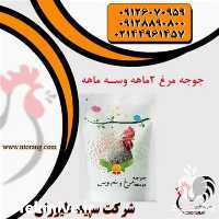فروش قیمت جوجه مرغ 2 ماهه در تهران در گروه مرغ و خروس و بوقلمون و اردک قو قاز در یکمیوه