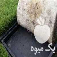 فروش سینی نشا برنج برای کشاورزی برنج راحت سریع در گرگان در گروه خرید فروش نشا - انواع گوجه برنج کاهو پیاز کاری فرنگی در یکمیوه