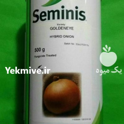 فروش بذر پیاز گلدن آی سمینس در اصفهان در گروه خرید فروش عمده پیاز - قرمز سفید زرد ترشی تازه انباری در یکمیوه -عکس1