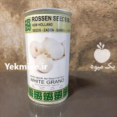 فروش بذر پیاز وایت روزن سیدز در مشهد در گروه خرید فروش عمده پیاز - قرمز سفید زرد ترشی تازه انباری در یکمیوه -عکس1