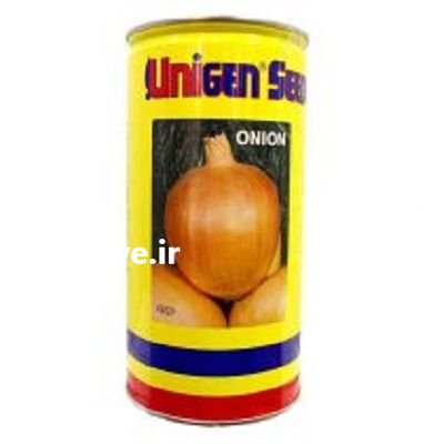 فروش بذر پیاز یونی ژن در چالوس در گروه خرید فروش عمده پیاز - قرمز سفید زرد ترشی تازه انباری در یکمیوه -عکس2