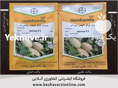 فروش بذر خربزه جانا در همدان در گروه خرید فروش عمده ملون - صادراتی صیفی تازه فروش عمده در یکمیوه -عکس2