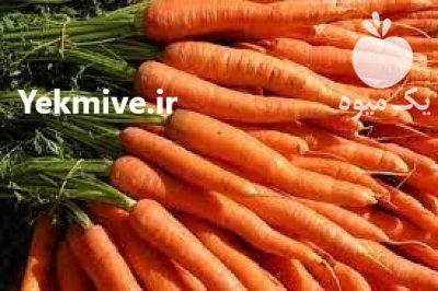 فروش بذر هویج 2313 سمینس در لاهیجان در گروه خرید فروش عمده هویج - فرنگی زرد صادراتی آبگیری قمی دزفول در یکمیوه -عکس2