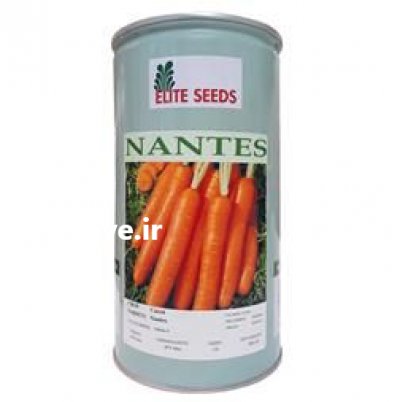 فروش بذر هویج الیت سید در اراک در گروه خرید فروش عمده هویج - فرنگی زرد صادراتی آبگیری قمی دزفول در یکمیوه -عکس2