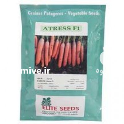 فروش بذر هویج الیت سید در اراک در گروه خرید فروش عمده هویج - فرنگی زرد صادراتی آبگیری قمی دزفول در یکمیوه -عکس3