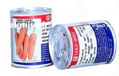 فروش بذر هویج تاکی مرسدس در ساری در گروه خرید فروش عمده هویج - فرنگی زرد صادراتی آبگیری قمی دزفول در یکمیوه -عکس1