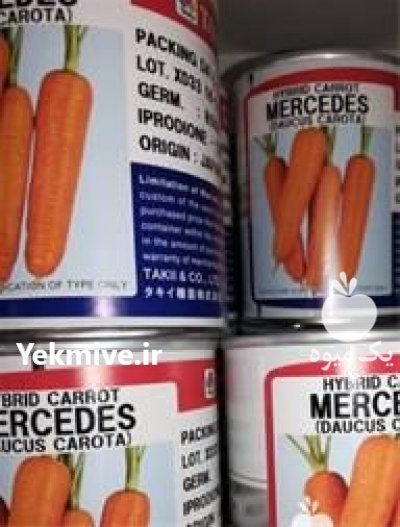 فروش بذر هویج تاکی مرسدس در ساری در گروه خرید فروش عمده هویج - فرنگی زرد صادراتی آبگیری قمی دزفول در یکمیوه -عکس2