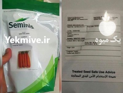 فروش بذر هویج سمینس در تهران در گروه خرید فروش عمده هویج - فرنگی زرد صادراتی آبگیری قمی دزفول در یکمیوه -عکس3