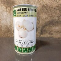 فروش بذر پیاز وایت روزن سیدز در مشهد در گروه خرید فروش عمده پیاز - قرمز سفید زرد ترشی تازه انباری در یکمیوه