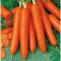 فروش بذر هویج الیت سید در اراک در گروه خرید فروش عمده هویج - فرنگی زرد صادراتی آبگیری قمی دزفول در یکمیوه