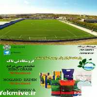 فروش بذر چمن سوپر اسپرت در تهران در گروه خرید فروش بذر - انواع محصول کشاورزی گوجه کتان میوه درخت در یکمیوه