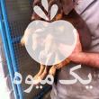 فروش توله سگ دوبرمن Doberman در تهران در گروه سگ و گربه _ نگهبان هاسکی ژرمن دوبرمن سرابی در یکمیوه -عکس1