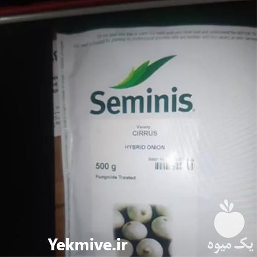 فروش بذر پیاز سایروس با کیفیت در بوشهر در گروه خرید فروش عمده پیاز - قرمز سفید زرد ترشی تازه انباری در یکمیوه -عکس1