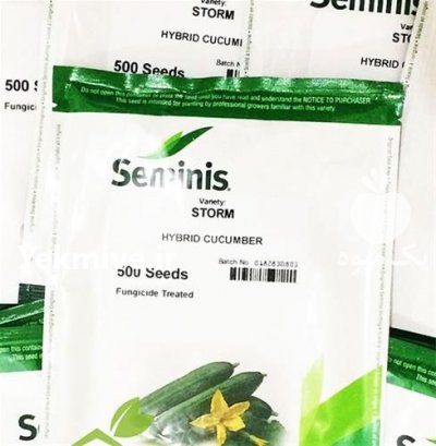 فروش بذر خیار استورم در ارومیه در گروه خرید فروش عمده خیار - بوته درختی سبز مجلسی شوری خاردار چنبر اصفهان در یکمیوه -عکس2