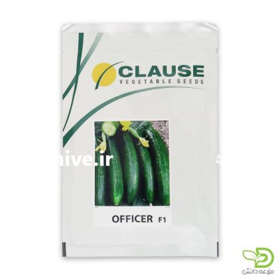 فروش بذر خیار آفیسر کلوز در اصفهان در گروه خرید فروش عمده خیار - بوته درختی سبز مجلسی شوری خاردار چنبر اصفهان در یکمیوه -عکس1