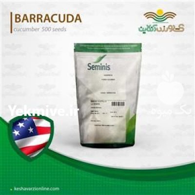 فروش بذر خیار باراکوادا در کرج در گروه خرید فروش عمده خیار - بوته درختی سبز مجلسی شوری خاردار چنبر اصفهان در یکمیوه -عکس1