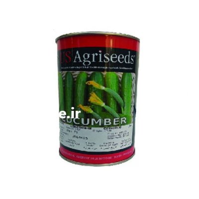 فروش بذر خیار سوپر استار اگریسید در بروجرد در گروه خرید فروش عمده خیار - بوته درختی سبز مجلسی شوری خاردار چنبر اصفهان در یکمیوه -عکس2