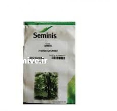 فروش بذر خیار شاهین در تهران در گروه خرید فروش عمده خیار - بوته درختی سبز مجلسی شوری خاردار چنبر اصفهان در یکمیوه -عکس1