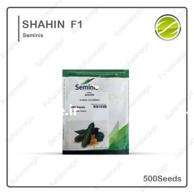 فروش بذر خیار شاهین در تهران در گروه خرید فروش عمده خیار - بوته درختی سبز مجلسی شوری خاردار چنبر اصفهان در یکمیوه -عکس2