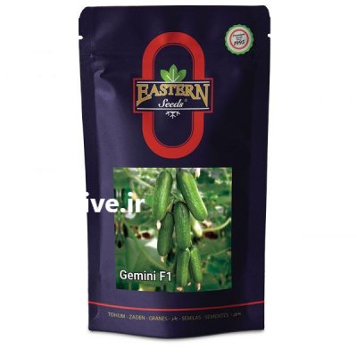 فروش بذر خیار گلخانه ای سالار در زنجان در گروه خرید فروش عمده خیار - بوته درختی سبز مجلسی شوری خاردار چنبر اصفهان در یکمیوه -عکس1