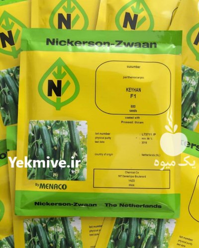 فروش بذر خیار گلخانه ای کیهان در کرمانشاه در گروه خرید فروش عمده خیار - بوته درختی سبز مجلسی شوری خاردار چنبر اصفهان در یکمیوه -عکس1