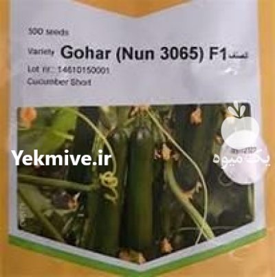 فروش بذر خیار گوهر در قزوین در گروه خرید فروش عمده خیار - بوته درختی سبز مجلسی شوری خاردار چنبر اصفهان در یکمیوه -عکس1