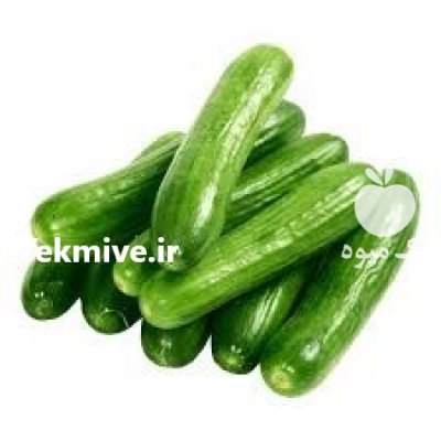 فروش بذر خیار ناگین در بجنورد در گروه خرید فروش عمده خیار - بوته درختی سبز مجلسی شوری خاردار چنبر اصفهان در یکمیوه -عکس3