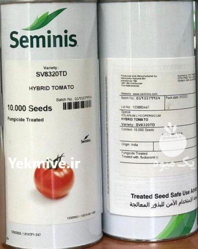 بذر گوجه بریویو اورجین تایلند در اصفهان در گروه خرید فروش عمده گوجه فرنگی - فرنگی سبز قرمز سیاه کبابی ربی در یکمیوه -عکس1