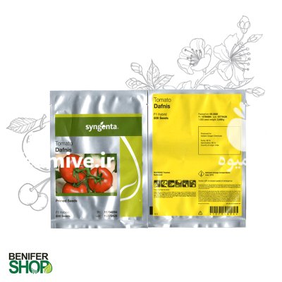 فروش بذر گوجه فرنگی دافینس در تهران در گروه خرید فروش عمده گوجه فرنگی - فرنگی سبز قرمز سیاه کبابی ربی در یکمیوه -عکس2