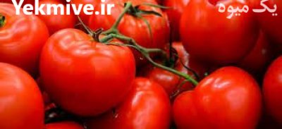 فروش بذر گوجه فرنگی دافینس در تهران در گروه خرید فروش عمده گوجه فرنگی - فرنگی سبز قرمز سیاه کبابی ربی در یکمیوه -عکس3