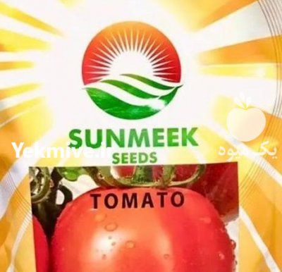 فروش بذر گوجه فرنگی سان میک در بوشهر در گروه خرید فروش عمده گوجه فرنگی - فرنگی سبز قرمز سیاه کبابی ربی در یکمیوه -عکس2