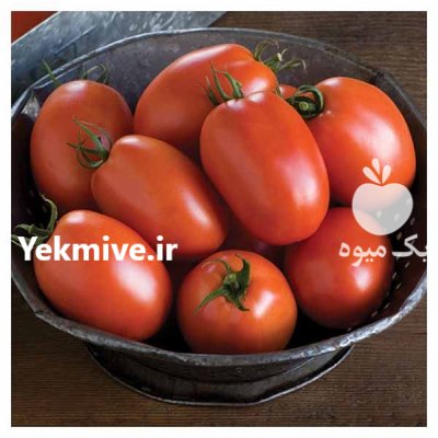 فروش بذر گوجه فرنگی سوپر کریستال در ایلام در گروه خرید فروش عمده گوجه فرنگی - فرنگی سبز قرمز سیاه کبابی ربی در یکمیوه -عکس1