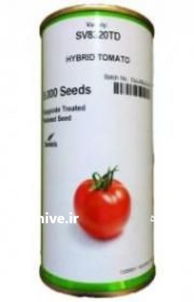 فروش بذر گوجه فرنگی 1585 در تهران در گروه خرید فروش عمده گوجه فرنگی - فرنگی سبز قرمز سیاه کبابی ربی در یکمیوه -عکس2