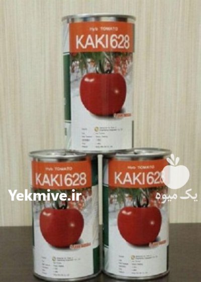 فروش بذر گوچه فرنگی کایکی 628 در ارومیه در گروه خرید فروش عمده گوجه فرنگی - فرنگی سبز قرمز سیاه کبابی ربی در یکمیوه -عکس2