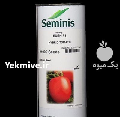 فروش بذر گوجه فرنگی ادن در گرگان در گروه خرید فروش عمده گوجه فرنگی - فرنگی سبز قرمز سیاه کبابی ربی در یکمیوه -عکس2