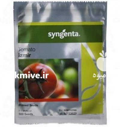 فروش بذر گوجه فرنگی ازمیر در تبریز در گروه خرید فروش عمده گوجه فرنگی - فرنگی سبز قرمز سیاه کبابی ربی در یکمیوه -عکس1