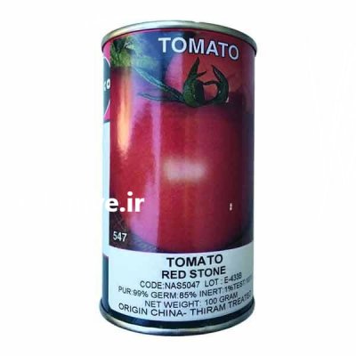 فروش بذر گوجه فرنگی رد استون در سنندج در گروه خرید فروش عمده گوجه فرنگی - فرنگی سبز قرمز سیاه کبابی ربی در یکمیوه -عکس1