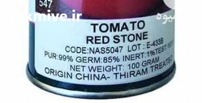 فروش بذر گوجه فرنگی رد استون در سنندج در گروه خرید فروش عمده گوجه فرنگی - فرنگی سبز قرمز سیاه کبابی ربی در یکمیوه -عکس2