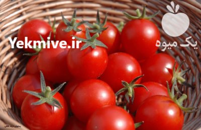 فروش بذر گوجه فرنگی سانسید 6189 در اهواز در گروه خرید فروش عمده گوجه فرنگی - فرنگی سبز قرمز سیاه کبابی ربی در یکمیوه -عکس1